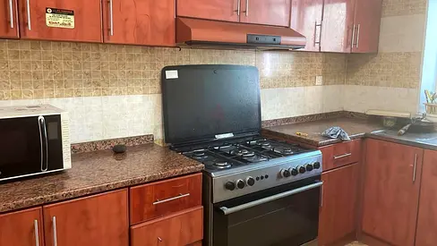 Versatile Gas Range with Oven and Ventilation