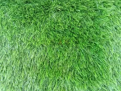 Vibrant Artificial Grass for Your Garden