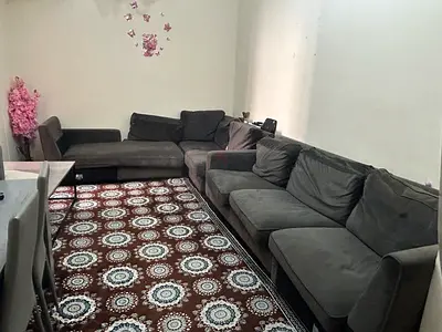 Comfortable L-Shaped Sofa with Traditional Carpet