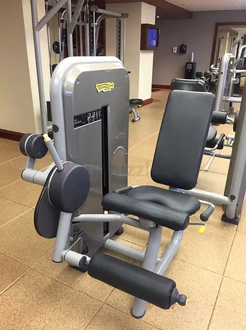 Leg Extension Technogym