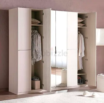 Stylish and Spacious Wardrobe with Mirrors