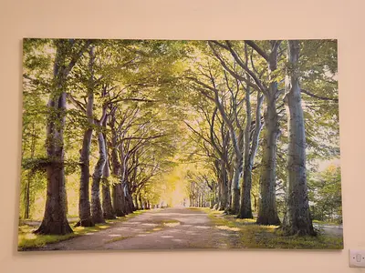 Large Forest Lane wall art - 150x100 cms