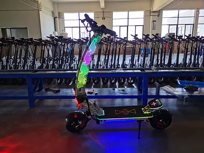 Electric scooter (dual motors)