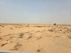 Residential land for sale in Al Houshi, Al Badi'a suburb, Sharjah.