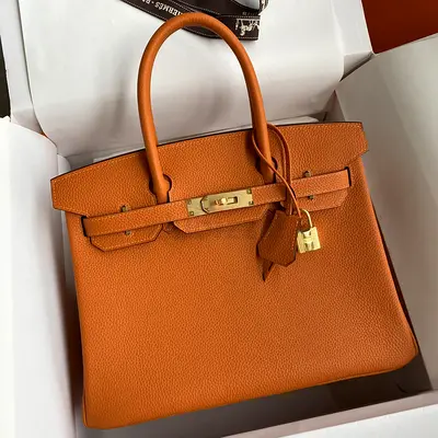 Hermes Birkin 25 Retourne In Orange Clemence Leather