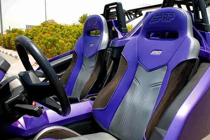 2016 Polaris SLINGSHOT 照片 8