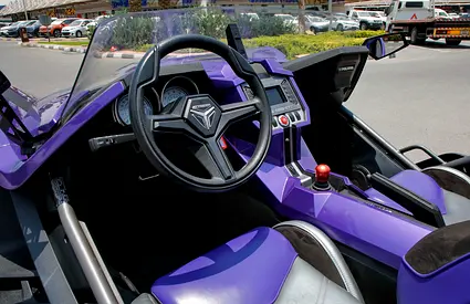 2016 Polaris SLINGSHOT 照片 7