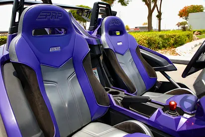 2016 Polaris SLINGSHOT 照片 9