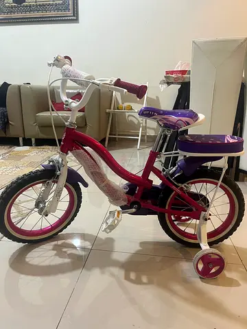 Pink and Purple Kids Bicycle