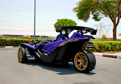 2016 Polaris SLINGSHOT 照片 5