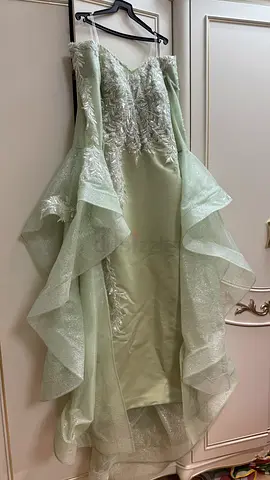 Elegant Embellished Evening Gownفستان سهره