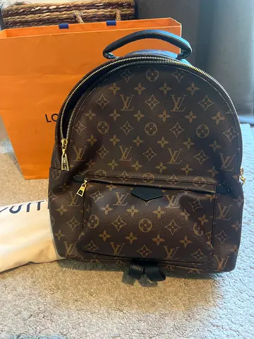 Louis Vuitton palm springs MM backpack