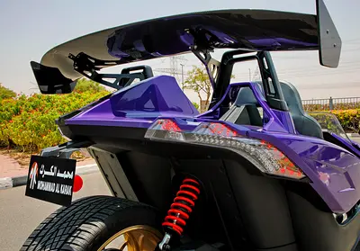 2016 Polaris SLINGSHOT 照片 12