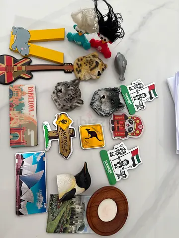 Collection of Unique Magnets and Souvenirs
