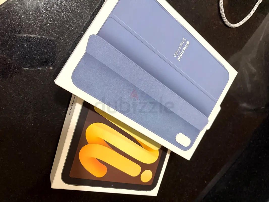 iPad mini (A17 Pro)65073413118850114