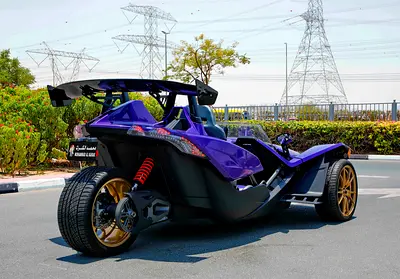 2016 Polaris SLINGSHOT 照片 6
