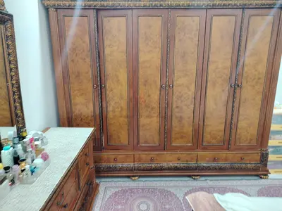 محمد بن زايد أبو ظبي