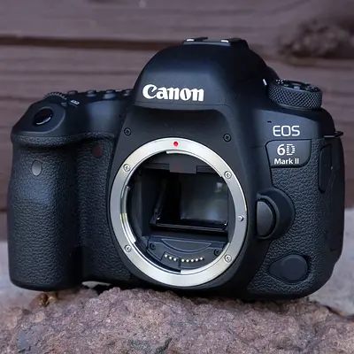 Canon EOS 6D Mark II with Tamron 150-600 G2 lens