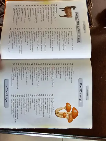 Book 8000 Things You Should Know