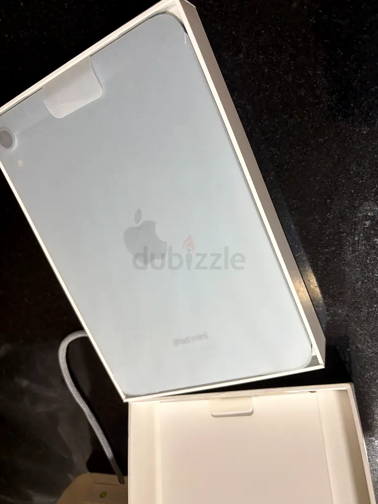 iPad mini (A17 Pro)65073413118850113