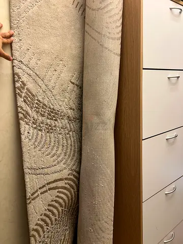 Elegant Abstract Carpet in Neutral Tones