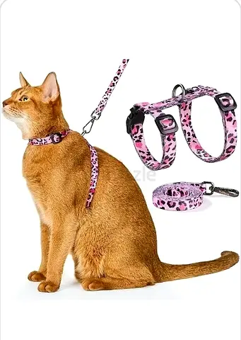Trendy Leopard Print Cat Leash | Comfortable  Durable