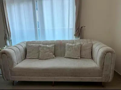 Cozy and Elegant Modern Sofa with Cushions