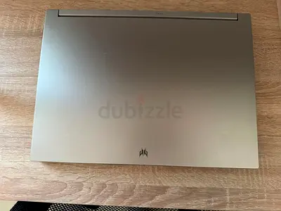 Predator Triton 300 SE Gaming Laptop