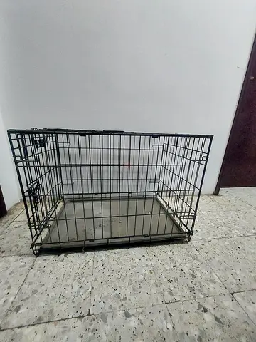 Puppies, Kitten, Cat, Dog cage
