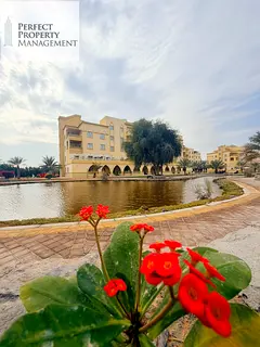 2 Bedrooms || Limited apartment || 1 Month free