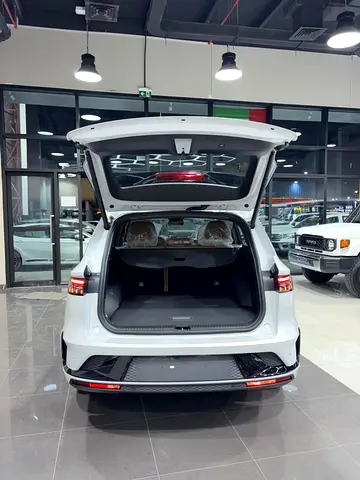 Renault Koleos LE Leather, миниатюра 19
