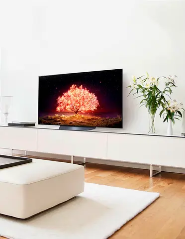 LG OLED 55 Inch TV With 4K Active HDR Cinema B1 OLED55B1PVA