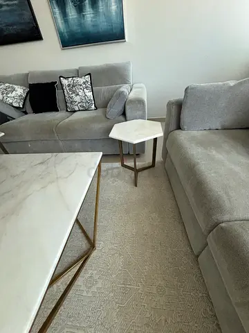 Full salon including tables and sofa and carpet
