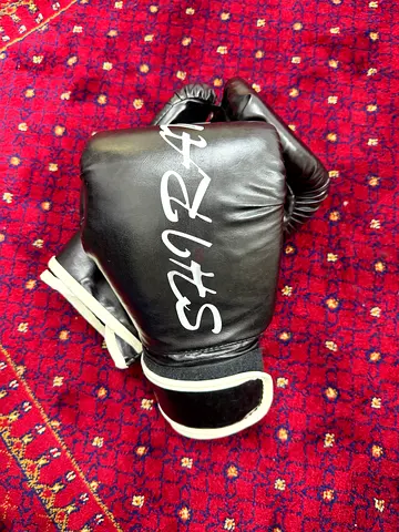 BOXING GLOVES