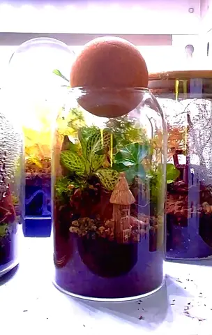 Glass terrarium (Perfect for decoration and gifting)