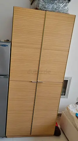 2 door clothes cabinet
