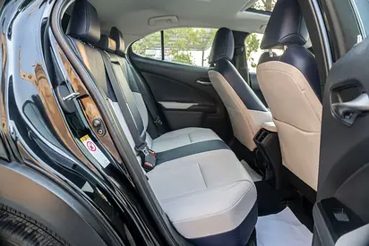 2019 Lexus UX-SERIES 照片 15