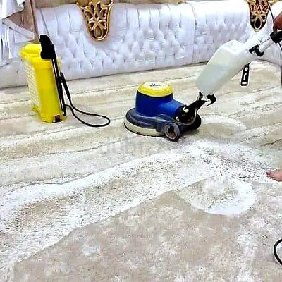 اللمسة الذهبية للتنظيف ومكافحة الحشرات
