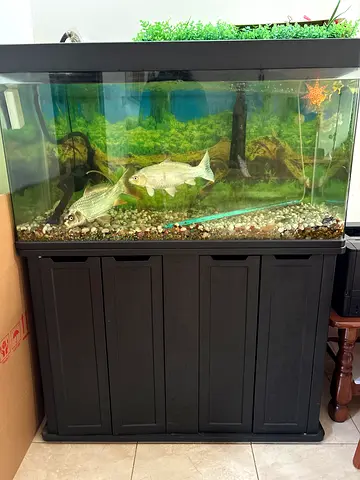 Fish tank