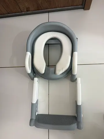 Baby potty seat with ladder