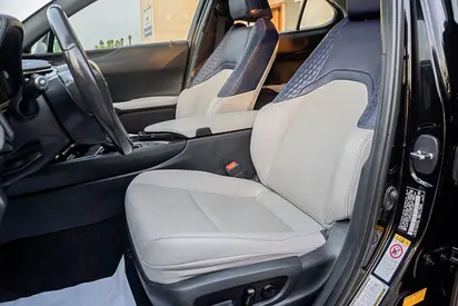 2019 Lexus UX-SERIES 照片 13