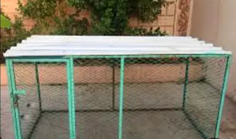 Sturdy Outdoor Dog Kennel