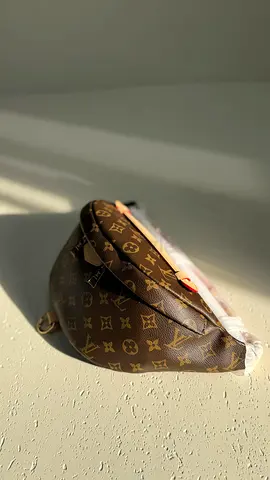 Louis vuttion mens Bumbag brown monogram bag