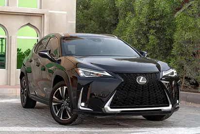 2019 Lexus UX-SERIES 照片 2