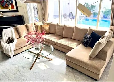 The one U shape sofa