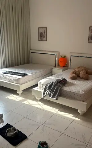Cozy Twin Bed Set with Mattress