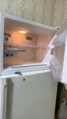 Well-Maintained Refrigerator for Sale
