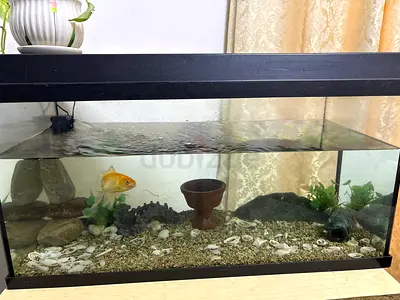 Aquarium