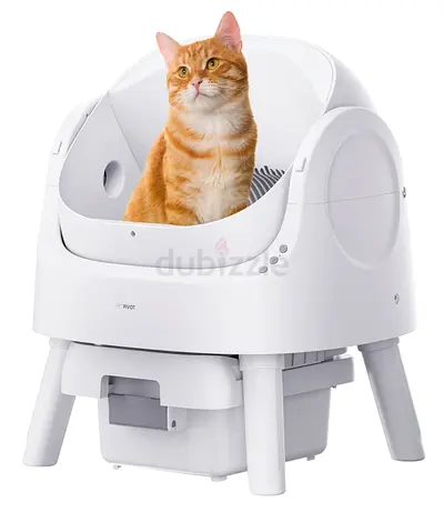 Brand new Automated Cat Litter Box for Your Feline Friend