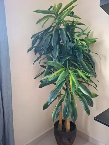 Artificial Plant